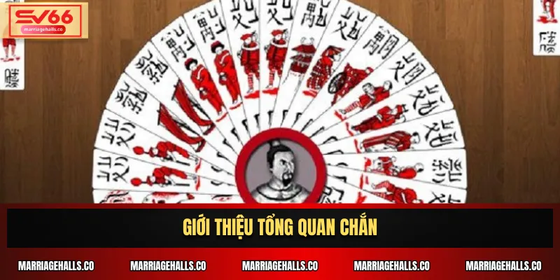 Giới thiệu tổng quan Chắn
