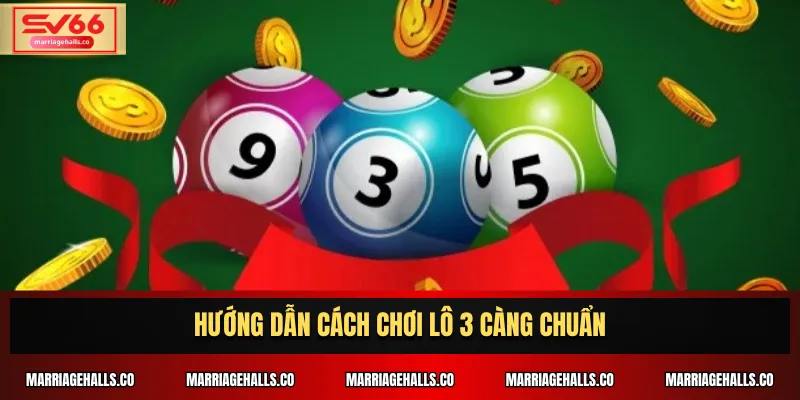 Hướng dẫn cách chơi lô 3 càng chuẩn