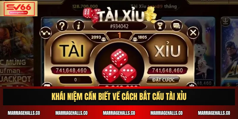 Khái niệm cần biết về cách bắt cầu tài xỉu