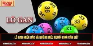 Lô gan miền Bắc