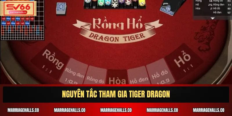 Nguyên tắc tham gia Tiger Dragon