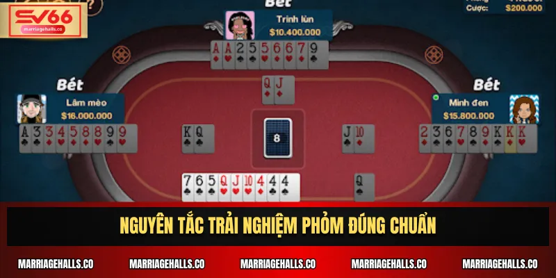 Nguyên tắc trải nghiệm phỏm đúng chuẩn