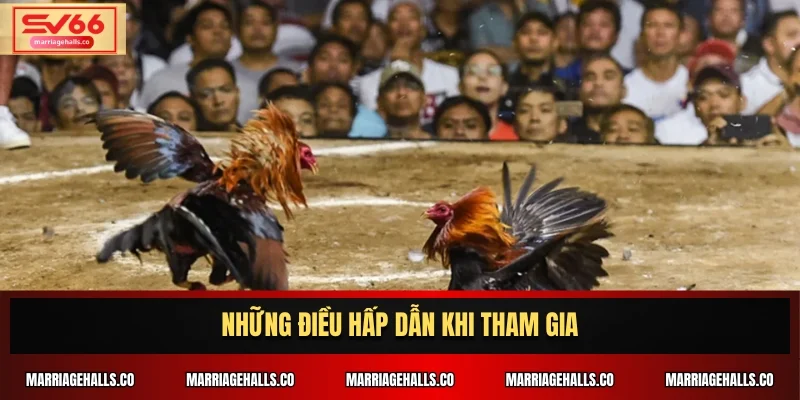 Những điều hấp dẫn khi tham gia