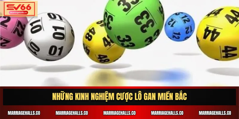 Những kinh nghiệm cược lô gan miền Bắc