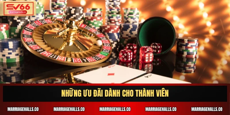 Những ưu đãi dành cho thành viên