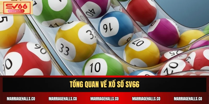 Tổng quan về xổ số SV66